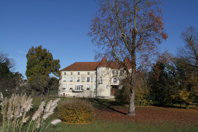 le château de Saint-Dizier